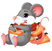 96年的鼠女婚姻顺利吗(幸福的婚姻之路)