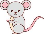 1972年属鼠今年运气(如何)