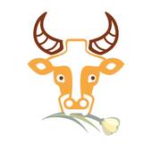 属牛1985什么命五行(解析五行缺什么如何化解)