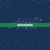 双子座的运势今日运势(机会与挑战并存)