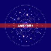 84鼠和95猪合不合(生肖配对介绍)