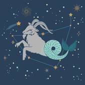 摩羯座女明天的运势如何(星象吉利财运亨通)