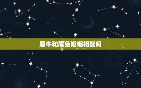 属牛和属兔婚姻相配吗(十二生肖婚配指南)