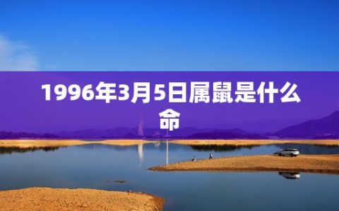 1996年3月5日属鼠是什么命(介绍属鼠人的性格特点和命运走向)