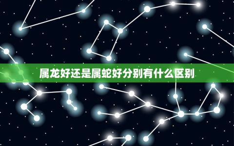 属龙好还是属蛇好分别有什么区别(比较属龙和属蛇的性格、命运和优缺点)