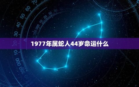 1977年属蛇人44岁命运什么(介绍财运旺盛但需谨慎投资)