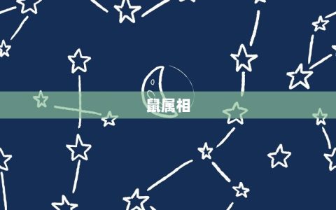 年月份生肖对照表属相(详解你的生肖是什么)