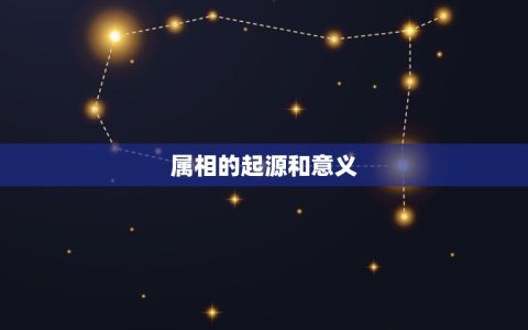 00年属于什么生肖啊(介绍00年出生的人属于哪个生肖)