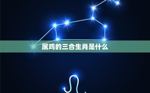 属鸡的三合生肖是什么(介绍三合局中的搭档)