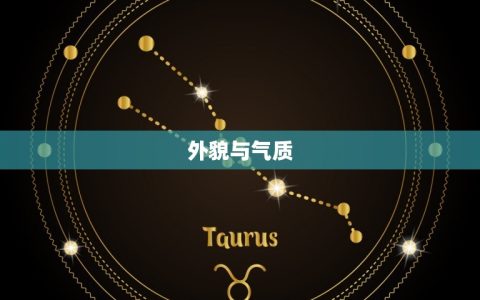 男猴的配偶是什么(介绍猴年属猴男配偶选择)