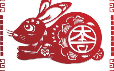 男兔宝宝取什么名字最好(如何为你的兔子宝宝取名)