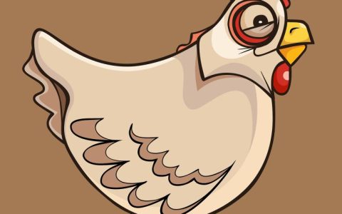 81年鸡佩戴什么珠子好(解析适合鸡年出生的人佩戴的珠宝首饰)