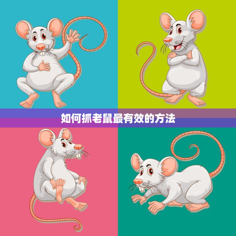 如何抓老鼠最有效的方法(大揭秘让老鼠自己走进陷阱)