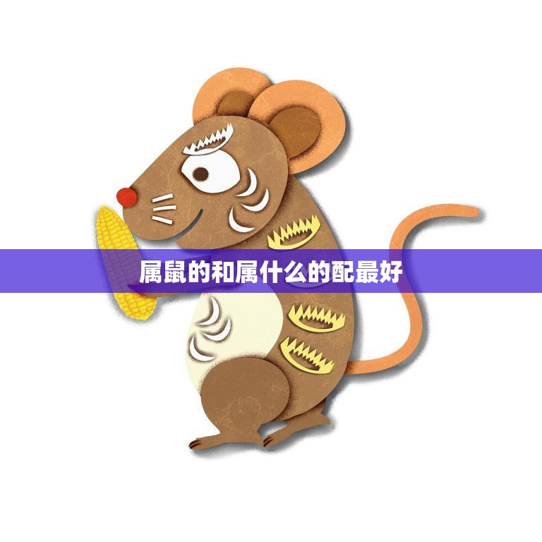 属鼠的和属什么的配最好(如何选择最佳配对)