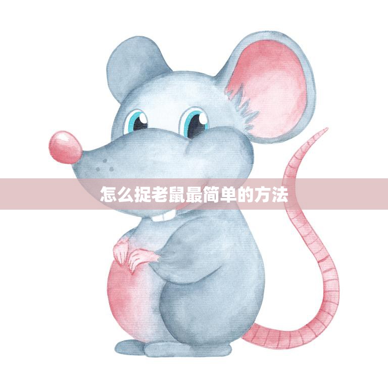 怎么捉老鼠最简单的方法(快速有效的老鼠捕捉技巧)