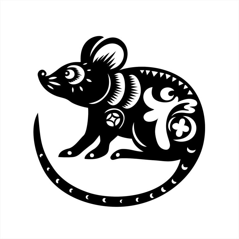 属鼠的过了38岁就顺了(解密真相还是)