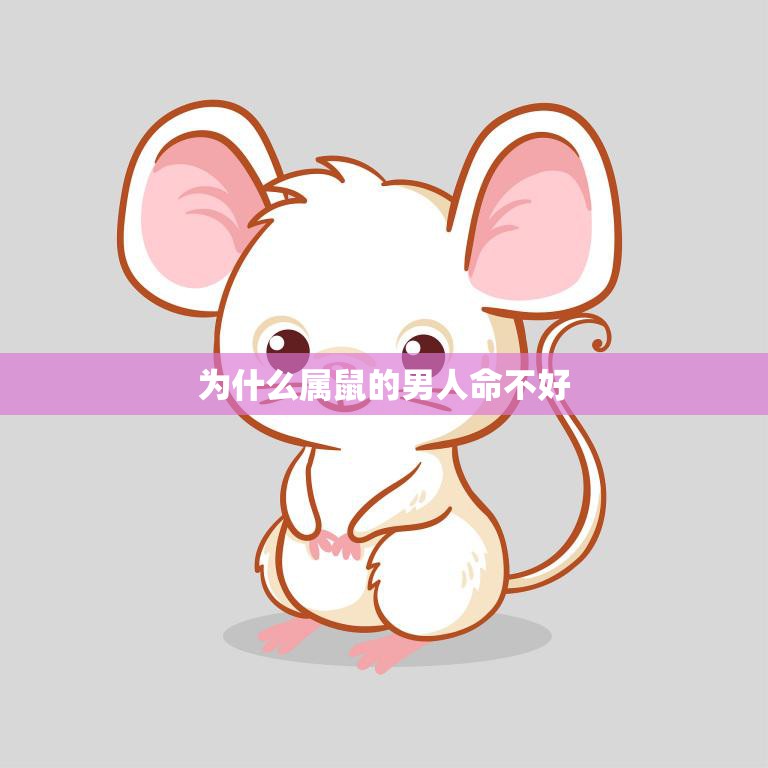 为什么属鼠的男人命不好(探究命理学解析与现实案例分析)