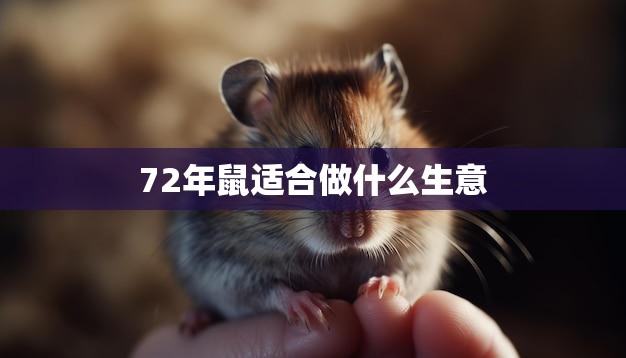 72年鼠适合做什么生意(探究适合做哪些创业项目)