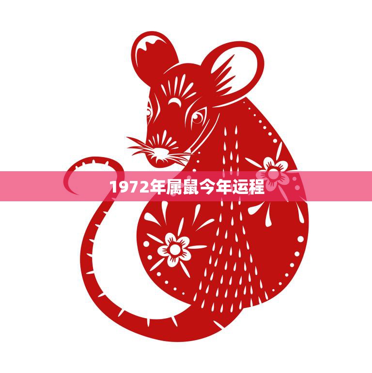 1972年属鼠今年运程(如何把握机会迎接好运)