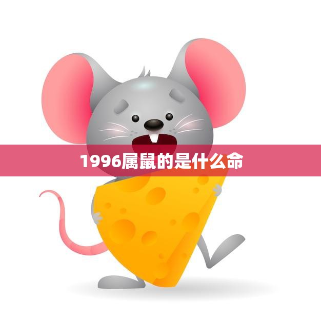1996属鼠的是什么命(解析命运与性格特征)