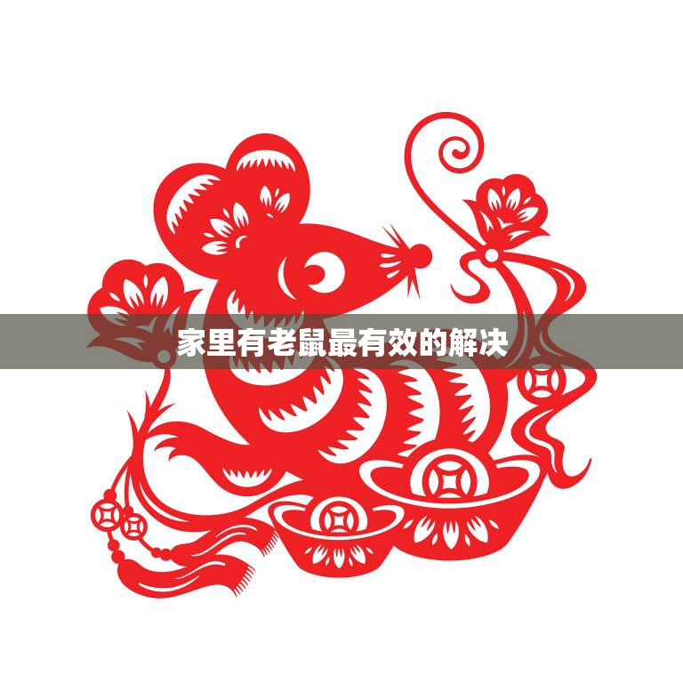 家里有老鼠最有效的解决(快速消灭老鼠的方法)