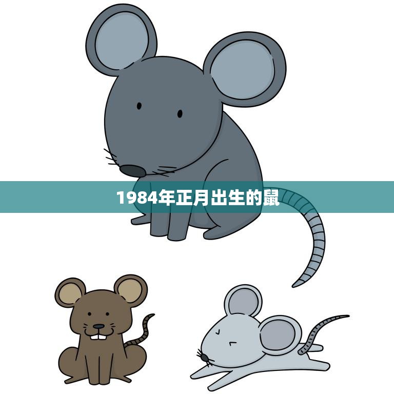 1984年正月出生的鼠(命运多舛的一年)