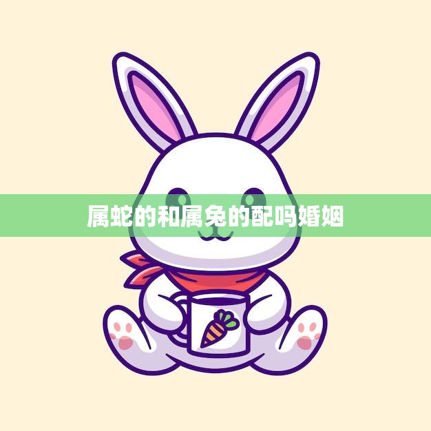 属蛇的和属兔的配吗婚姻(如何避免相爱相杀)