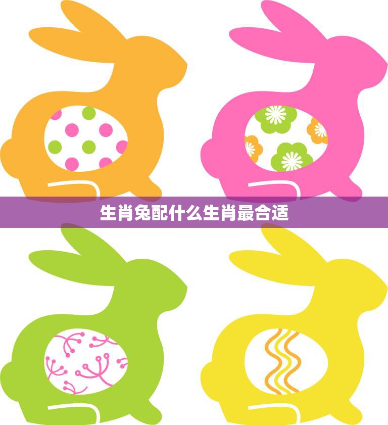 生肖兔配什么生肖最合适(最佳搭档大揭秘)