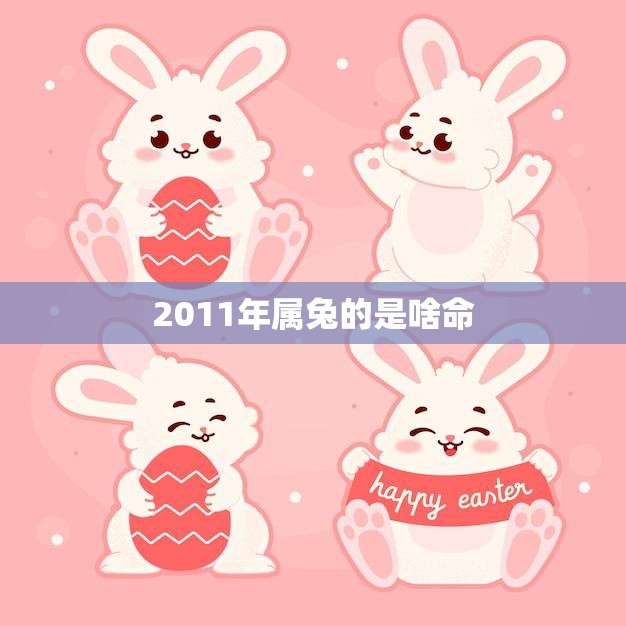 2011年属兔的是啥命(属兔人的命运如何)