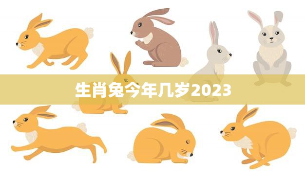 生肖兔今年几岁2023(兔年人的年龄计算方法详解)