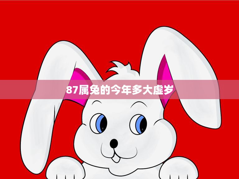 87属兔的今年多大虚岁(如何计算兔年出生的人的虚岁)