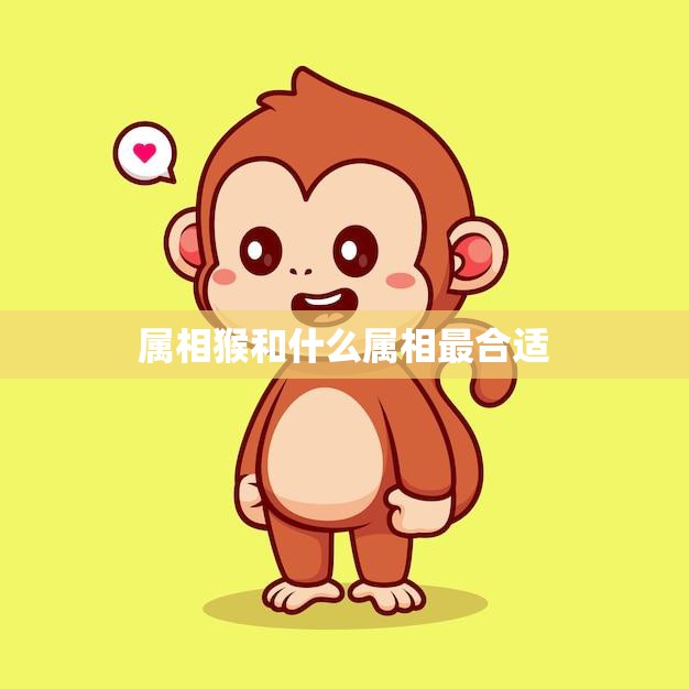 属相猴和什么属相最合适(你的属相配对指南)