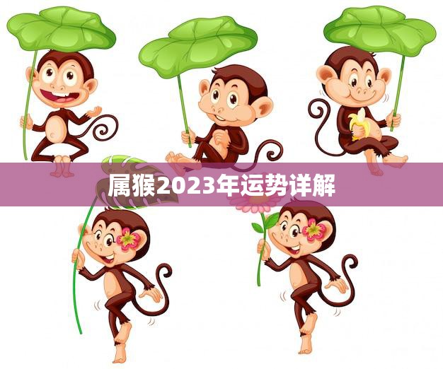 属猴2023年运势详解(猴子迎来事业新起点)