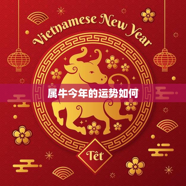属牛今年的运势如何(2023年牛年运势解析)