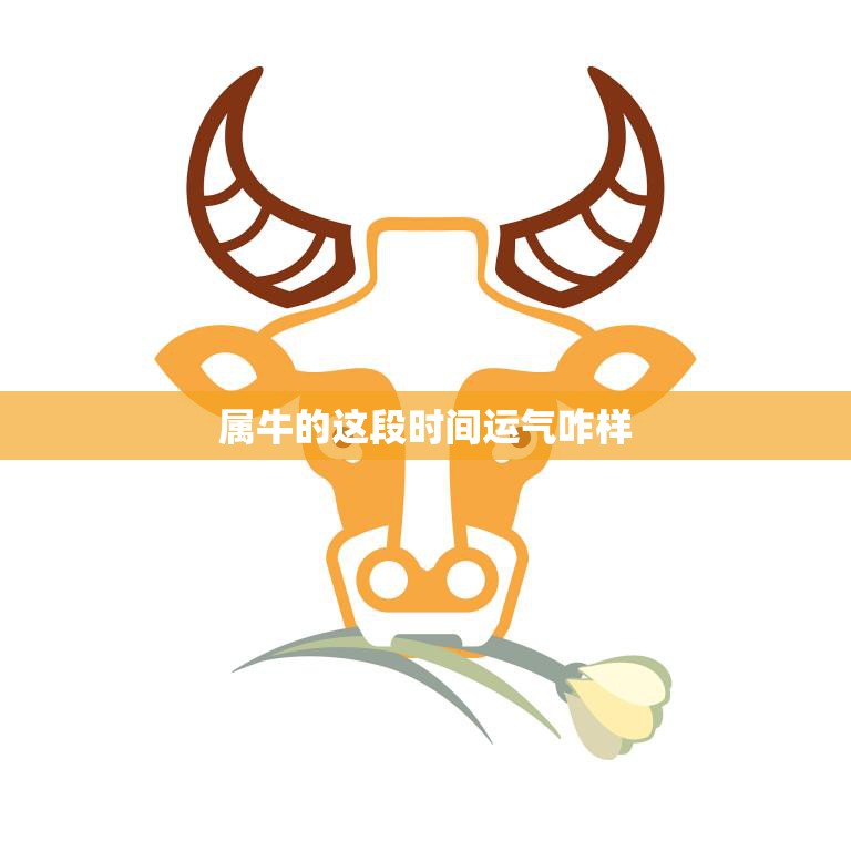 属牛的这段时间运气咋样(解析牛年运势如何)