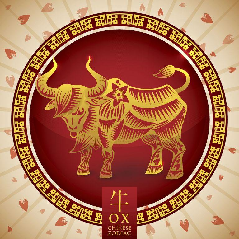 97年牛男今年结婚好吗(婚姻前景如何)