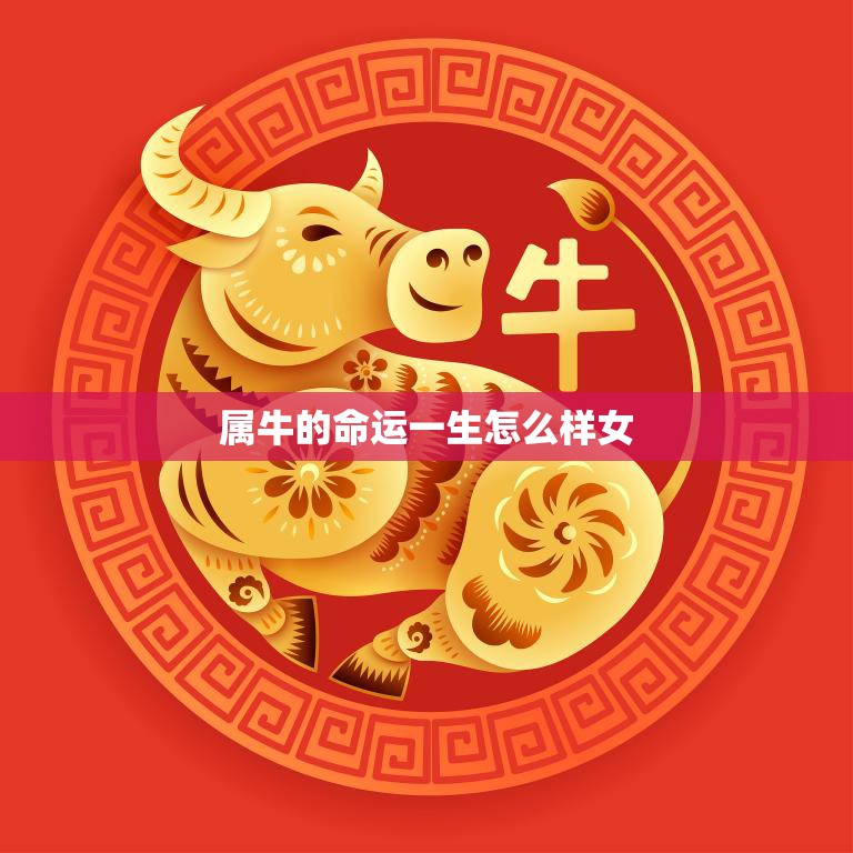 属牛的命运一生怎么样女(如何在命运中幸福)