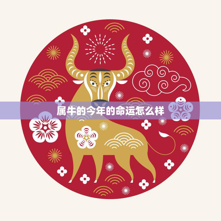 属牛的今年的命运怎么样(2023年运势大揭秘)