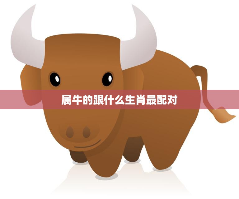 属牛的跟什么生肖最配对(最佳配对大揭秘)