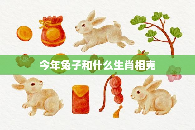 今年兔子和什么生肖相克(2023年生肖属猴兔子要小心)