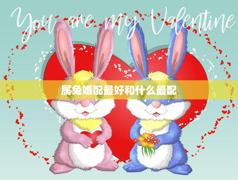 属兔婚配最好和什么最配(如何选择最佳婚姻伴侣)