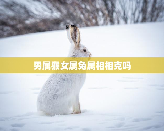 男属猴女属兔属相相克吗(解析属相相克的影响)