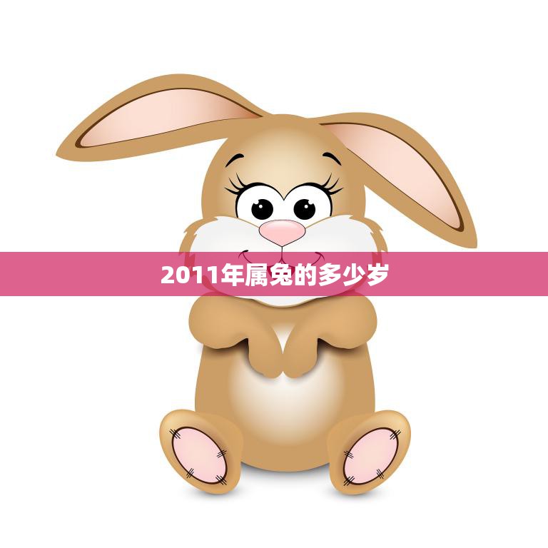 2011年属兔的多少岁(你知道吗)
