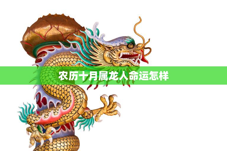 农历十月属龙人命运怎样(解析属龙人在农历十月的运势)