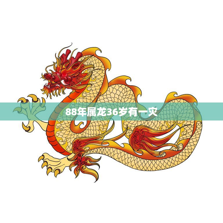88年属龙36岁有一灾(如何化解)