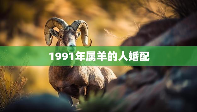 1991年属羊的人婚配(如何选择最佳伴侣)