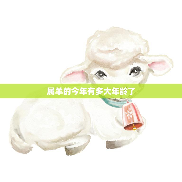 属羊的今年有多大年龄了(你的生肖年龄到底是多少)