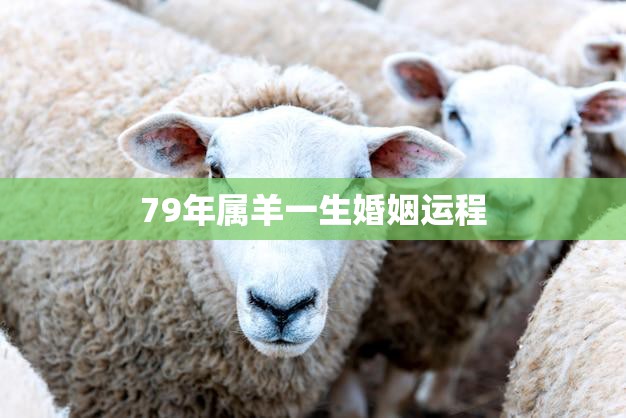 79年属羊一生婚姻运程(如何避免婚姻危机)