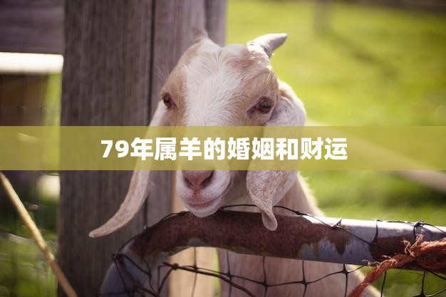 79年属羊的婚姻和财运(如何避免婚姻危机提升财运)