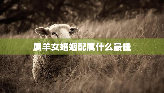 属羊女婚姻配属什么最佳(如何选择最适合的伴侣)